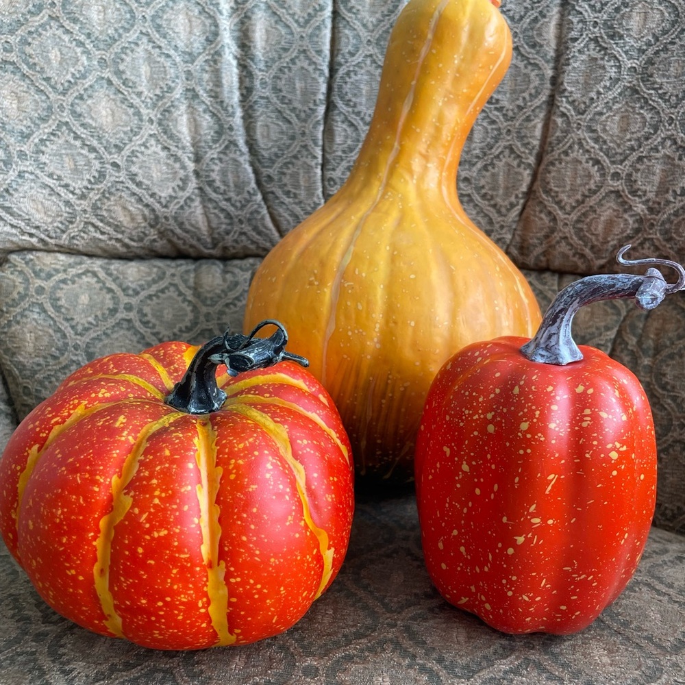 3 Decorative Pumpkin and Gourd Set
